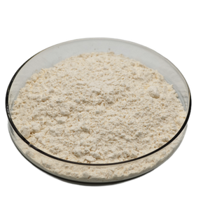 Organik kayısı çekirdeği ekstresi tozu toplu vitamin satılık acı badem özü - Product Image 2