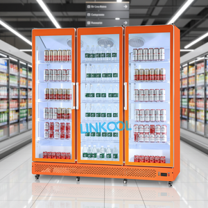 Réfrigérateur commercial vertical à porte vitrée pour boissons, bières fraîches et présentoir floral - Product Image 4