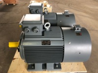 Variateur de fréquence industriel triphasé pour moteur AC avec système de contrôle PLC, boîtier en fonte, moteur à induction AC