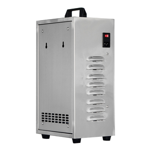 Générateur de purificateur d'eau à l'ozone 3g d'ozone pour l'eau potable pour les hôtels et les voitures - Product Image 4
