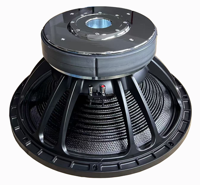 21 Inch Speaker 6 Inch Voice Coil Sound Equipment Double Magnet 2500W RMS Power Speaker