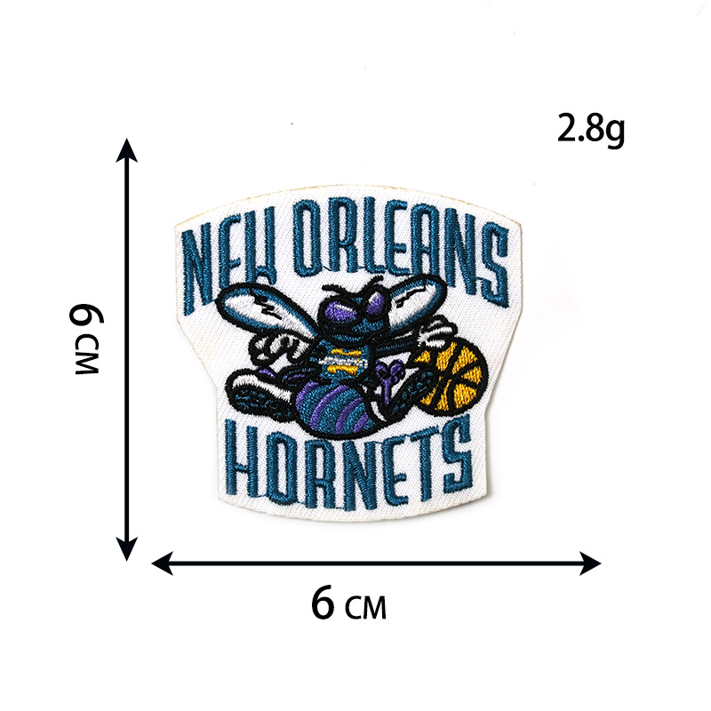 New Orleans Hornets 6