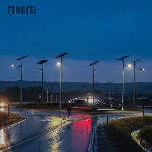 스마트 시티용 간편 설치 알루미늄 제조사 LED 태양광 가로등 - Product Image 5