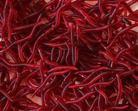 Lot de 100 leurres souples artificiels rouges de 4 cm en PVC, type larve, pour la pêche au bar, au poisson-chat, en eau douce, en rivière, en lac, en ruisseau et en mer