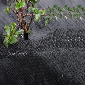 Giá Rẻ Giá Vườn cỏ dại kiểm soát vải che phủ mặt đất Weed Mat dệt vải địa kỹ thuật màu đen vải agrotextile