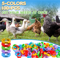 Bagues de pied pour oiseaux en ABS de 8 mm, colorées, durables, écologiques, réutilisables, fournitures d'identification pour pigeons voyageurs, vente en gros d'usine