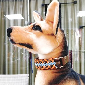 स्टाइलिश आधुनिक डिजाइन के साथ कुत्ते बिल्ली कॉलर स्टाइलिश पैटर्न प्रिंट लेश नायलॉन वेबबिंग रोशनी में बनाया गया - Product Image 6