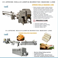 Machine à former des rouleaux de printemps avec système de remplissage automatique, équipement de découpe et de roulage en acier inoxydable pour usine de transformation alimentaire