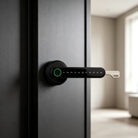 Cerradura Inteligente WiFi con Huella Dactilar, Bajo MOQ, Venta al por Mayor, Manija Digital Biométrica para Uso Residencial y Comercial, Lista para Envío Global