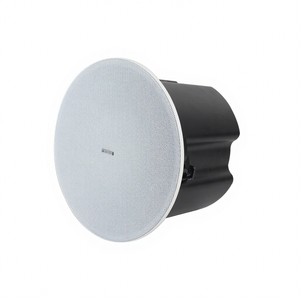 Altavoz Subwoofer de Techo para Bares, Salas de Estar, Sistemas de Cine en Casa y Escenarios de Fiestas - Product Image 1