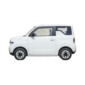 Pour <span class=keywords><strong>Panda</strong></span> Mini <span class=keywords><strong>voiture</strong></span> électrique blanc charge rapide Lithium fer Phosphate batterie LED phares dynamiques 201-300km gamme NEDC - Product Image 4