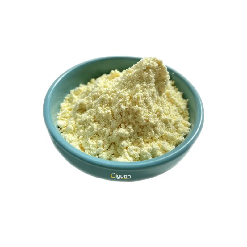 CiYuan Bio Supply Soybean Extract 20%-40% Soy Isoflavones soybean soluble polysaccharides powder