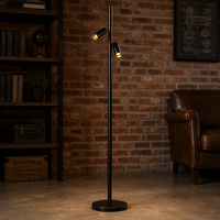 Projecteurs LED modernes en aluminium à double COB 2700K-6000K CRI 95 pour l'éclairage intérieur des restaurants