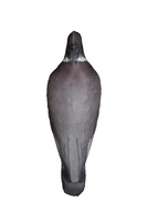 Appâts de chasse à bas prix leurres de canard chasse 90% Polyester 10% Spandex matériel leurre Pigeon