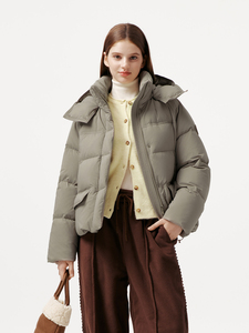 <span class=keywords><strong>Doudoune</strong></span> courte matelassée pour femme avec capuche et fermeture éclair, manches longues, chaude pour l'hiver, manteau matelassé, vente en gros de vêtements d'extérieur - Product Image 5