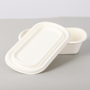 Biodegradable Food Container Sugarcane Bagasse Paper Pulp Disposable Paper Lunch Box