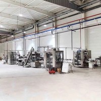 Machine de remplissage automatique de pots de cosmétiques (savon liquide et crème) à deux têtes de suivi avec moteur