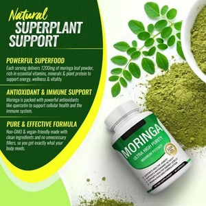 Natural Leaf Plant <b>Protein</b> Moringa Capsules Vegetarian Enhance Immunity Moringa Powder Capsules for Antioxidant - Product Image 4