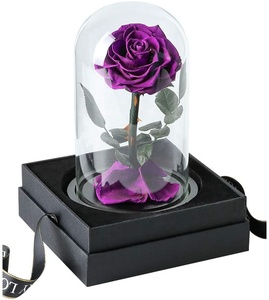 Dôme de verre magnifique, 7-8 cm, D12 H20, fausses fleurs romantiques, couleur violette, pour <span class=keywords><strong>la</strong></span> <span class=keywords><strong>belle</strong></span> <span class=keywords><strong>et</strong></span> <span class=keywords><strong>la</strong></span> bête - Product Image 2