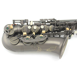 Sassofono Contralto in Mib Antiruggine per Intrattenimento, Corpo in Ottone, Finitura Nera Opaca Placcata Nichel, Stile Antico, Testata in Bachelite, <span class=keywords><strong>Sax</strong></span> EB - Product Image 6