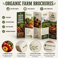 Service d'impression de dépliants publicitaires écologiques personnalisés de haute qualité, avec logo, pour restaurants et menus.