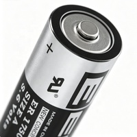 Batería Desechable de Iones de Litio No Recargable CKXIC ER17505, 6500mAh, 3.6V, Protección de Circuito, Montaje en Panel Térmico Magnético, 240A