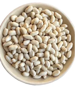 Dried Peanut Kernels With High Oil Content Are Sold Directly From The Factory