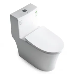 Bolina New Item W2111 Hot Sales White Ceramic Siphon Jet Flushing Floor Mounted 1 Piece Toilet