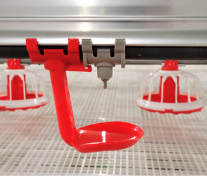 ชุดอุปกรณ์เลี้ยง<span class=keywords><strong>ไก่</strong></span>แบบอัตโนมัติ ChickTech รุ่นใหม่ PP ควบคุมอัจฉริยะ สำหรับให้อาหารและน้ำในโรงเรือน/บ้านเลี้ยง<span class=keywords><strong>ไก่</strong></span> แบบเลี้ยงพื้นดิน - Product Image 4