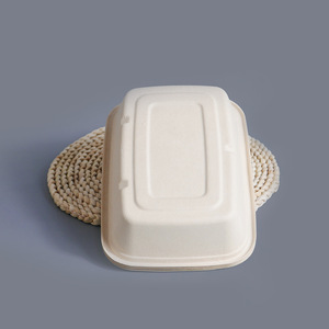 Assiettes à dîner rondes de 9 pouces, écologiques, jetables et biodégradables - Product Image 5