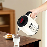 Bouilloire électrique 2,5 L en plastique, chauffage rapide, maintien au chaud, arrêt automatique, pour dortoirs, usage extérieur, hôtel, dropshipping
