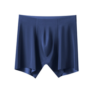 Ropa Interior Masculina de Nuevo Estilo, Calzoncillos Boxer Sin Costuras de Nailon Elástico con Bolsa Moldeada en 3D, Ropa Interior de Pierna Larga para <span class=keywords><strong>Hombre</strong></span> - Product Image 2