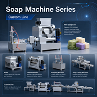 Machine à savon à lessive à petite échelle, capacité de 20 à 200 kg/h, pour production à domicile, faible investissement, rendement élevé sur l'investissement