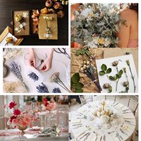 130Pcs Set Bunga Kering Alami Campuran Buatan Tangan untuk DIY, Bunga Awet, Bunga Baby's Breath, Mawar Kering, Eucalyptus, Batang Lavender