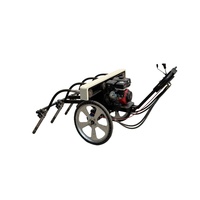 Handgeführter Betonvibrator mit Motorantrieb, essentieller Hochleistungs-Betonvibrator, mechanisch