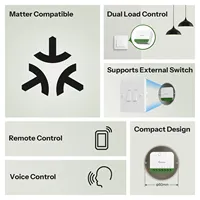 SONOFF MINI DUO Interrupteur intelligent Wi-Fi 2 canaux Matter MINI-2GS Contrôle double charge Mode relais détachable Compatible Alexa Google Home