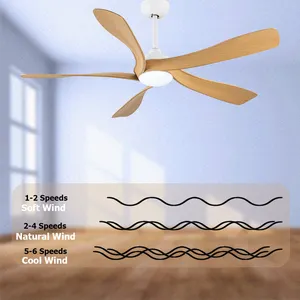 Luxury Decorative Living Room Remote Control LED Dimmable 5 ABS Blade 56 Inch DC Motor Twist Ceiling Fan With Light