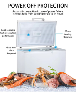Commercial <b>Mini</b> Solar Chest Deep Blast Ice Display Upright Car Fridges Freezers Refrigerator for Home Dual Power Supply (Solar + - Product Image 1