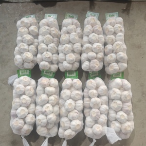 <span class=keywords><strong>Ajo</strong></span> Blanco Fresco Cosecha 2026, 4.5cm, Alta Calidad, Suministro a Granel, Directo <span class=keywords><strong>de</strong></span> Granja, Envío a Congo Brazzaville - Product Image 3
