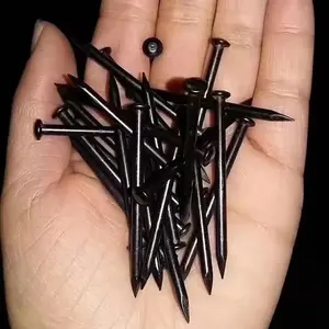 Factory Price Holland Quality Black Color Hardened Steel Concrete Nails