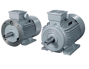 Moteurs AC Innomotics 400V 460V 690V 37KW 50HP 45KW 60HP 55KW 75HP 90KW 110HP 150HP GP (Usage Général) - Product Image 2