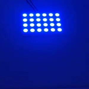 Lâmpada LED para teto automotivo com chip 24SMD 5050 para interior de carro, luz de cúpula, lâmpada de teto automática T10 + festão, adaptadores para leitura, 12V