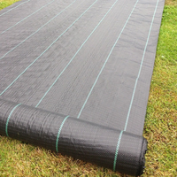 PP Tissé Membrane PE Couvre-sol Maille Tapis De Mauvaises Herbes Rouleau Anti Herbe Contrôle Tissu Bloqueur Paillis Film