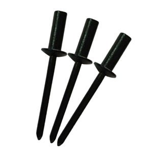 OEM rivestimento anodizzato nero colori chiusi sigillati tipo rivetti ciechi impermeabili Blind POP rivetti Alu-acciaio 5/32 3/16 - Product Image 1
