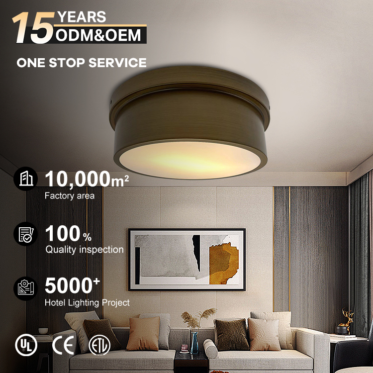 Modern High-quality Luxury Steel & Acrylic LED Ceiling Lamp with Remote Control for Living Room Bedroom Corridor
