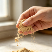 Poudre de soja naturelle de qualité alimentaire disponible en gros pour les bars à collations et comme matière première pour les boissons