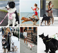 Distributeur de sacs à déjections pour animaux de compagnie en silicone imperméable, support portable pour sacs à crottes de chien à clipser sur la laisse, pour chiens et chats, utilisation en voyage