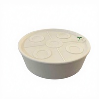 Système d'arrosage automatique pour plantes en pot, capteur d'humidité à aspiration d'eau automatique, pot de fleurs idéal pour la maison, le bureau, le jardin, la cour
