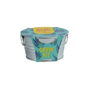 Promotion : Kit de culture miniature 100% biologique USDA d'Aloe Vera, Jardinière mignonne, <span class=keywords><strong>Jardin</strong></span> féerique, Collection de succulentes en aluminium pour la maison et les mariages - Product Image 5