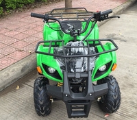 Quad mini tout-terrain 150CC/200CC/250CC pour enfants, en acier inoxydable, transmission par chaîne ABS